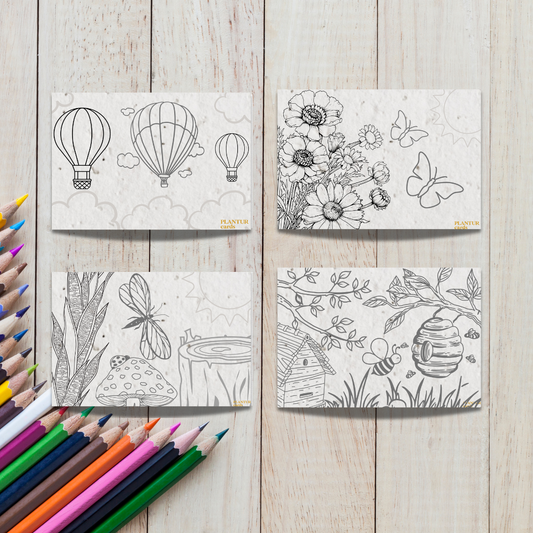 4 Pack - Seed Paper Coloring Sheets - 15.99