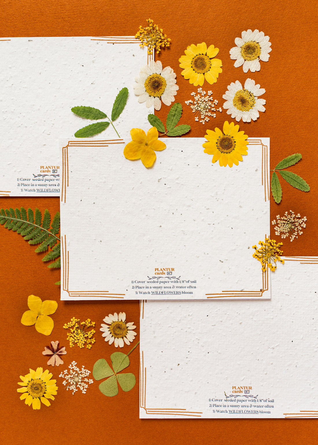 Plant Your Cards With Seed Paper