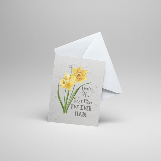 "Your the best Mom I've ever had"— 5 Card Set