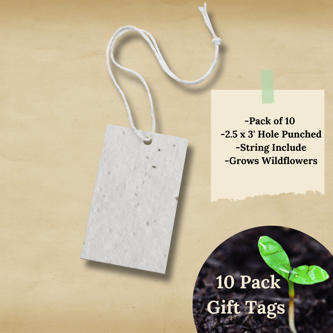 Packs of 10 White Wildflower Seed Paper Gift Tags - 12.99