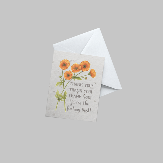 "So Many Feelings"— 5 Card Set