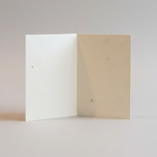 "Have a Magical Christmas and a F*cking Stupendous New Year" — 5 Card Set