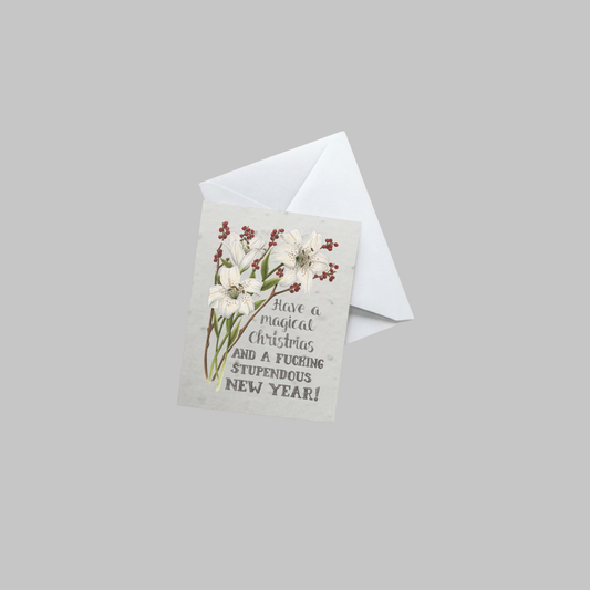 "Have a Magical Christmas and a F*cking Stupendous New Year" — 5 Card Set