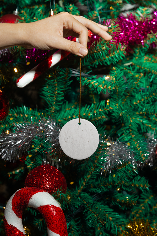 10 Pack of 3' Diameter, Seed Paper Circles - Great for Ornaments, Gift Tags, Crafts and More!