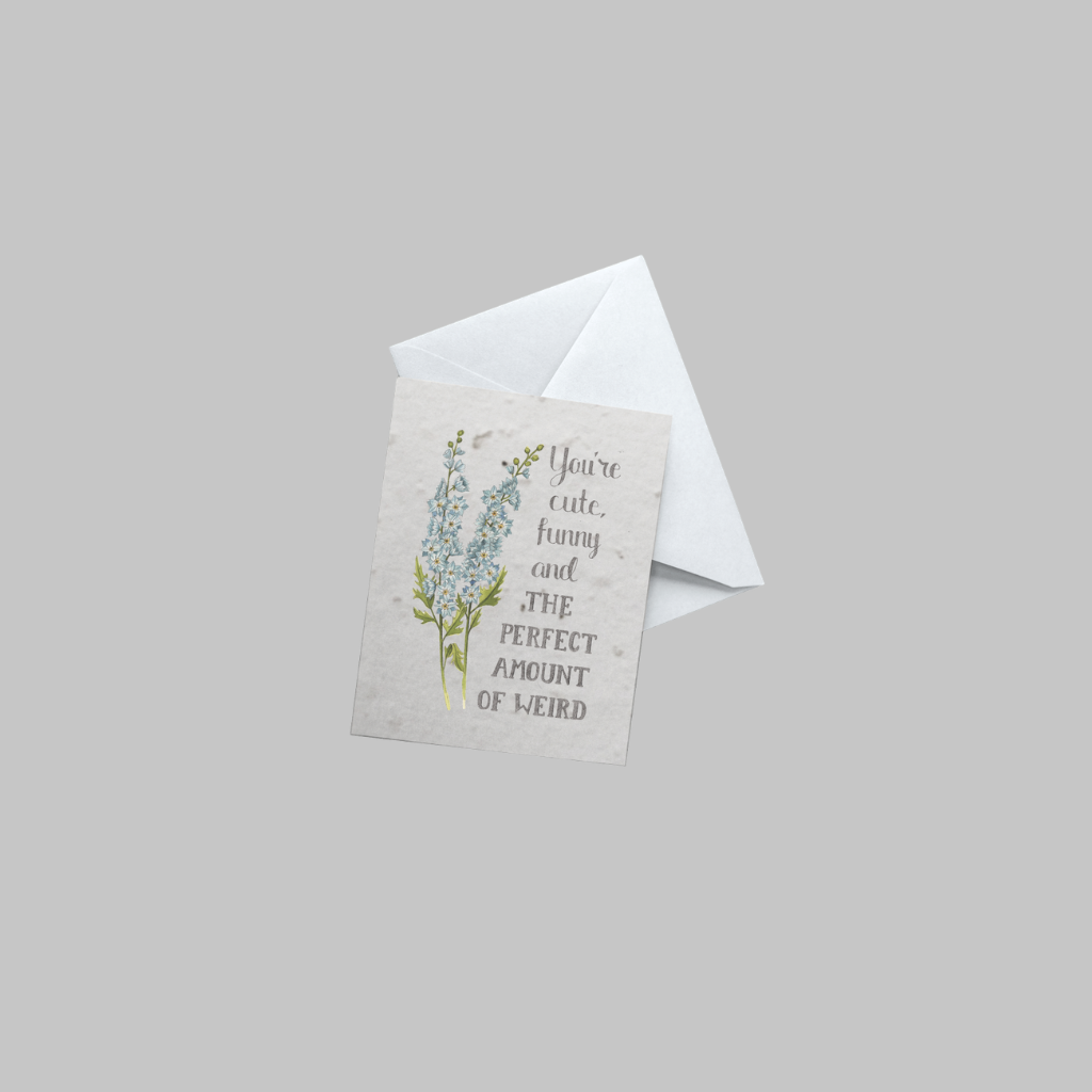 "You're cute, funny and the perfect amount of weird"— 5 Card Set