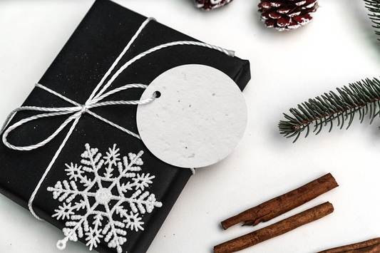 10 Pack of 3' Diameter, Seed Paper Circles - Great for Ornaments, Gift Tags, Crafts and More!
